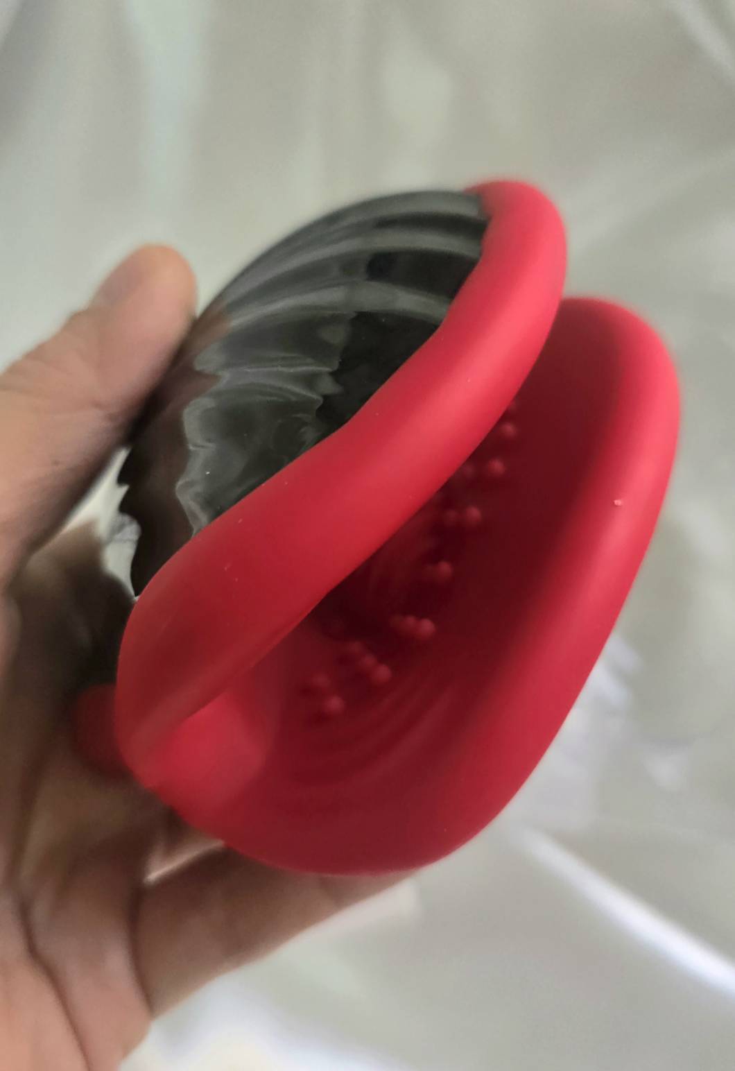 หอยหนีบ ( รหัส EL19 )