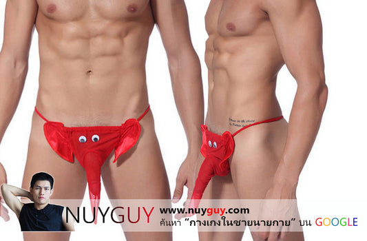 จีสตริงช้างน้อย FREE SIZE elepant g-string ( รหัส NG020 )